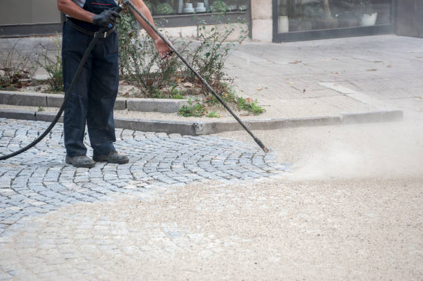 Best Winterizing Services  in East Palatka, FL